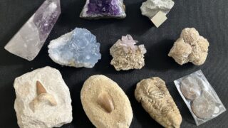 LA Mineral Show（ロサンゼルス・ミネラルショー）に行ってみた！鉱物とクリスタルの世界を体験