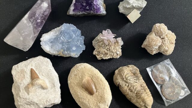 LA Mineral Show（ロサンゼルス・ミネラルショー）に行ってみた！鉱物とクリスタルの世界を体験