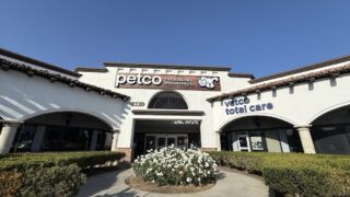 PETCOとは？アメリカ発のペット専門ストアを徹底解説